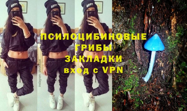 гашик Корсаков