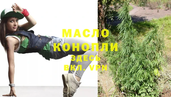 гашик Корсаков